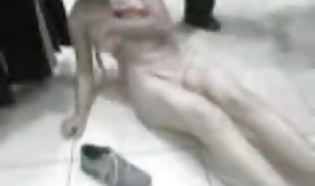 سولو فیلم بکن بکن داستانی باردار بازی با گربه